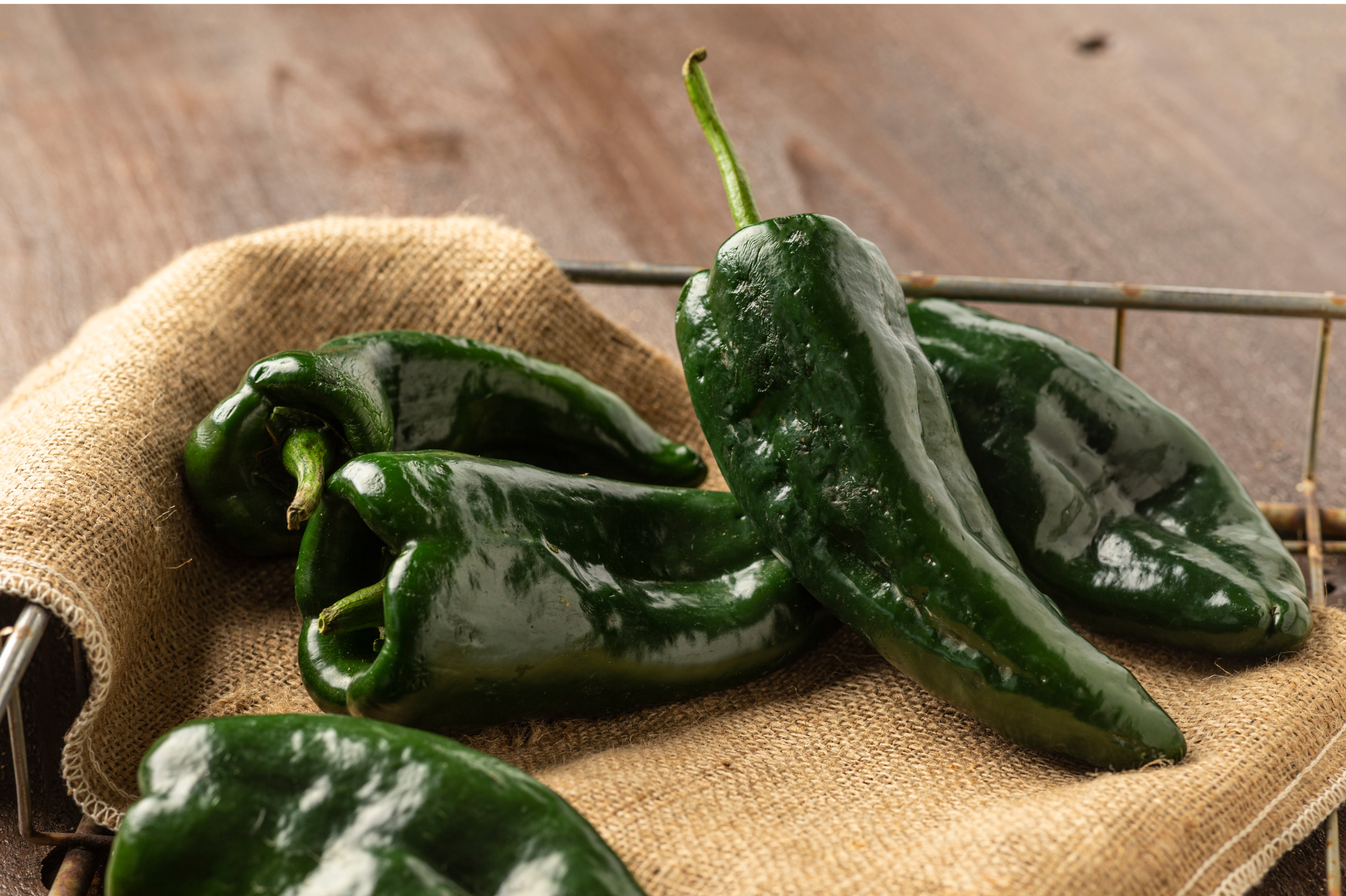 poblano peppers
